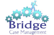 Bridge case management